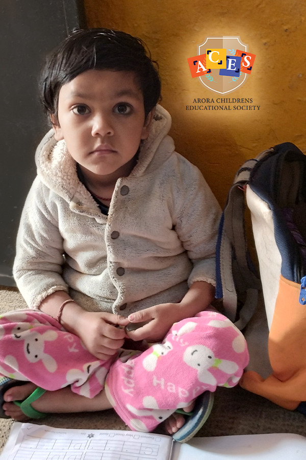Donate now and Support ACES and Phulwari School 